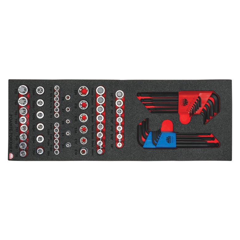73-PC. TORX Hex Foam Set