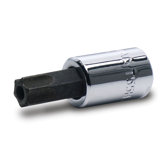 3/8" Drive Tamper-Resistant Torx Driver T55